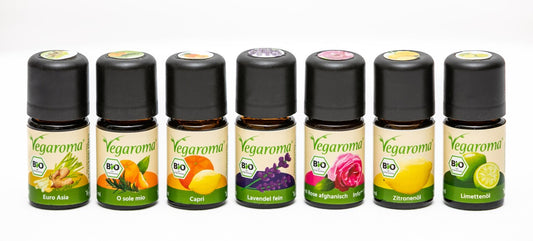 Basis Sparset Sommer